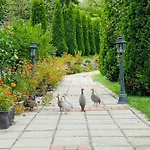 Family Borovitsa Pŭdartsi