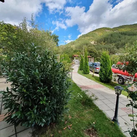 Family Borovitsa 2* Pŭdartsi