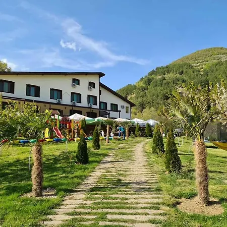 Family Borovitsa Pŭdartsi