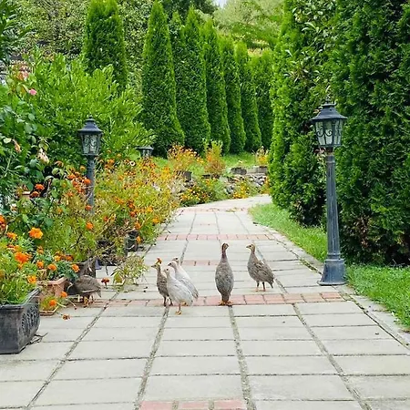 Family Borovitsa Pudartsi