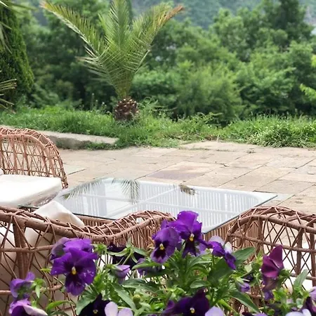 Hotel Family Borovitsa 2*