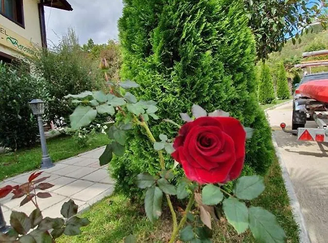 Family Borovitsa Hotel 2*