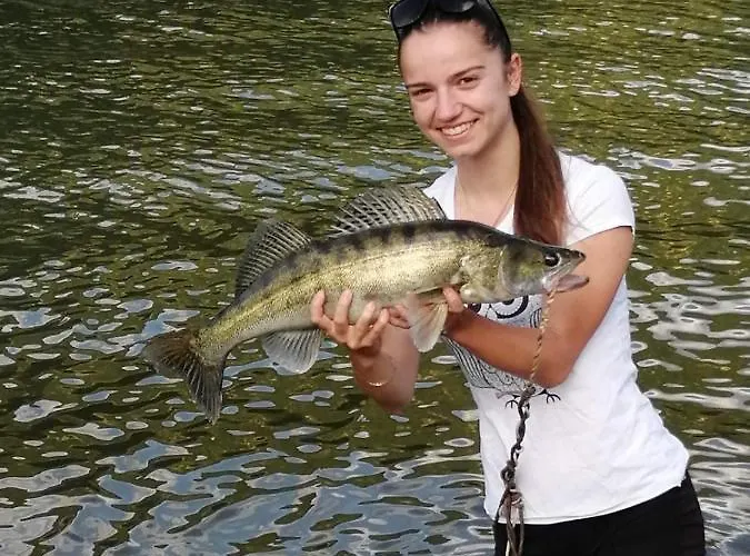 Family Borovitsa Hotel