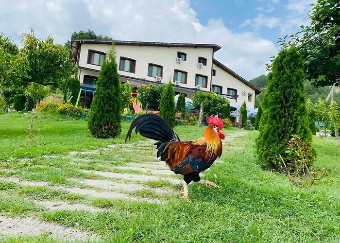 Family Borovitsa Hotel Pŭdartsi