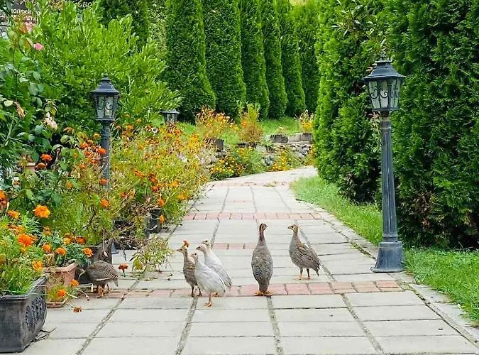 Family Borovitsa Pŭdartsi