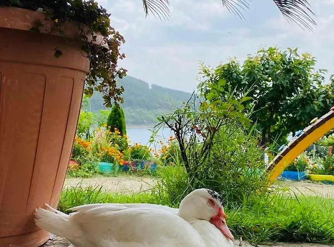 Family Borovitsa Hotel