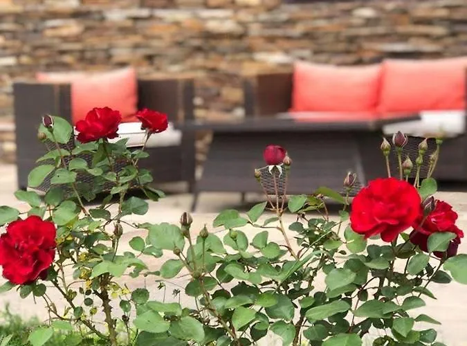 Hotel Family Borovitsa 2*