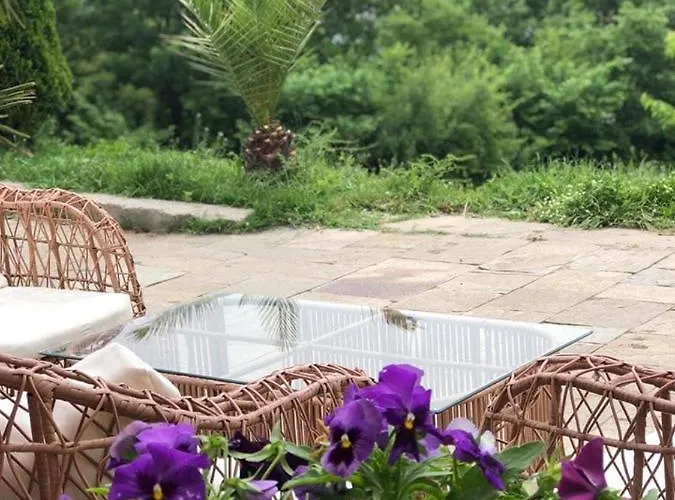 Hotel Family Borovitsa 2*